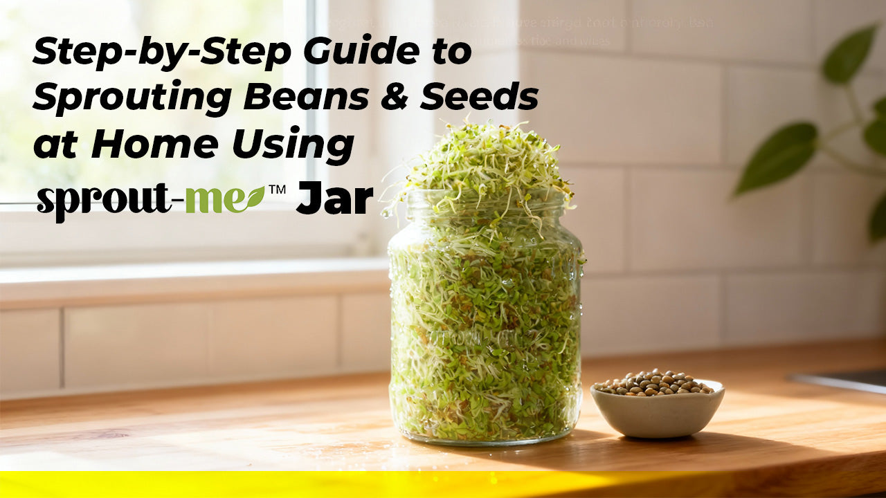 Step-by-Step Guide to Sprouting Beans & Seeds at Home Using SproutMe Jar