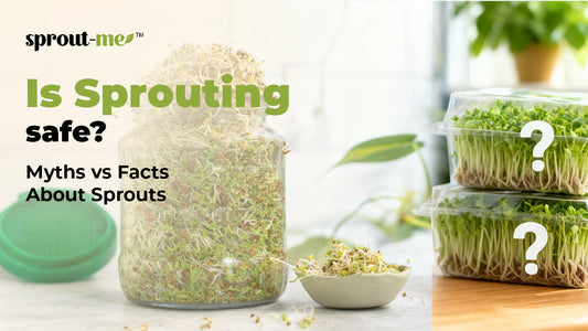 Is Sprouting Safe? Myths vs Facts About Sprouts