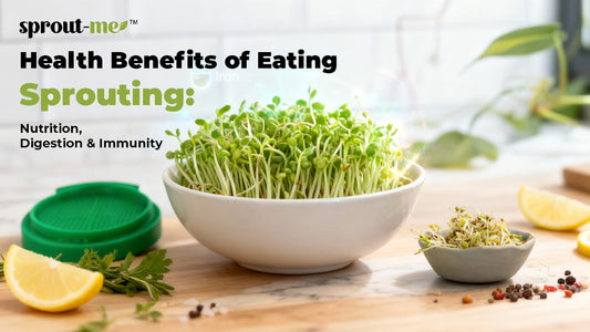 Health Benefits of Eating Sprouts: Nutrition, Digestion & Immunity