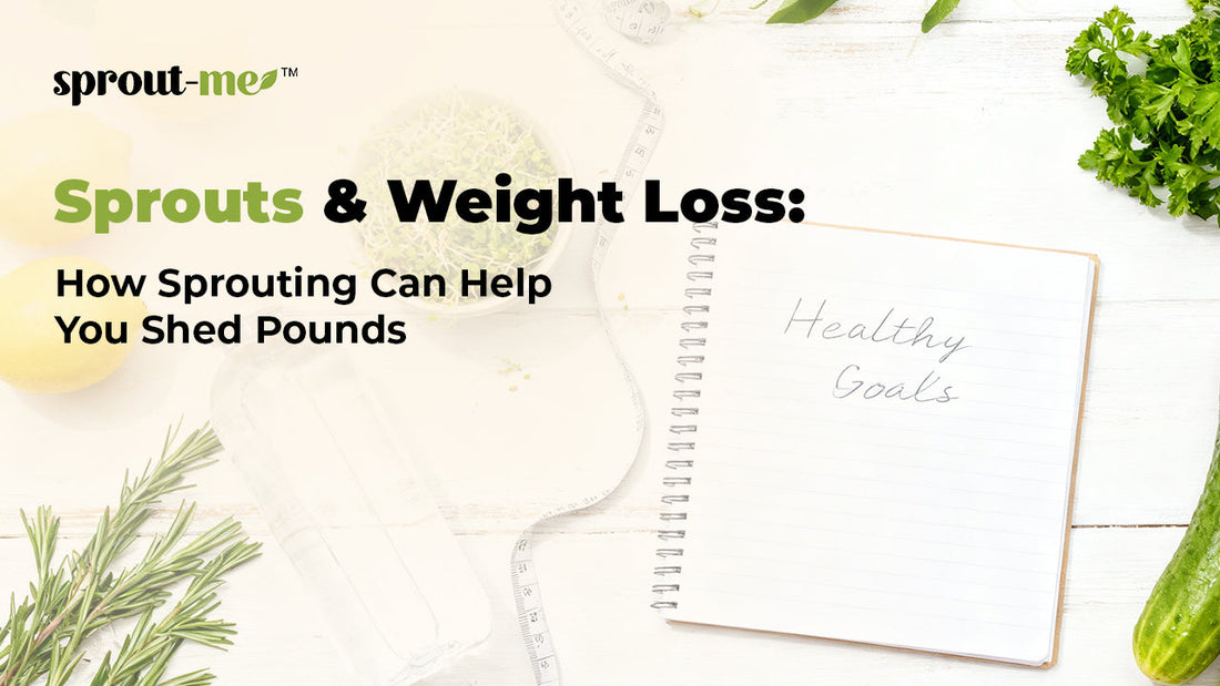 Sprouts & Weight Loss: How Sprouting Can Help You Shed Pounds