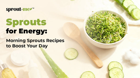 Sprouts for Energy: Morning Sprouts Recipes to Boost Your Day