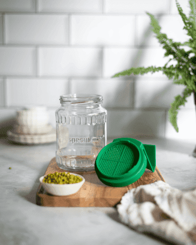 LS GLASS sprout-me™ Jar - Launch Offer