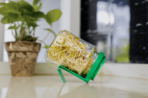 LS sprout-me™ Jar - Launch Offer