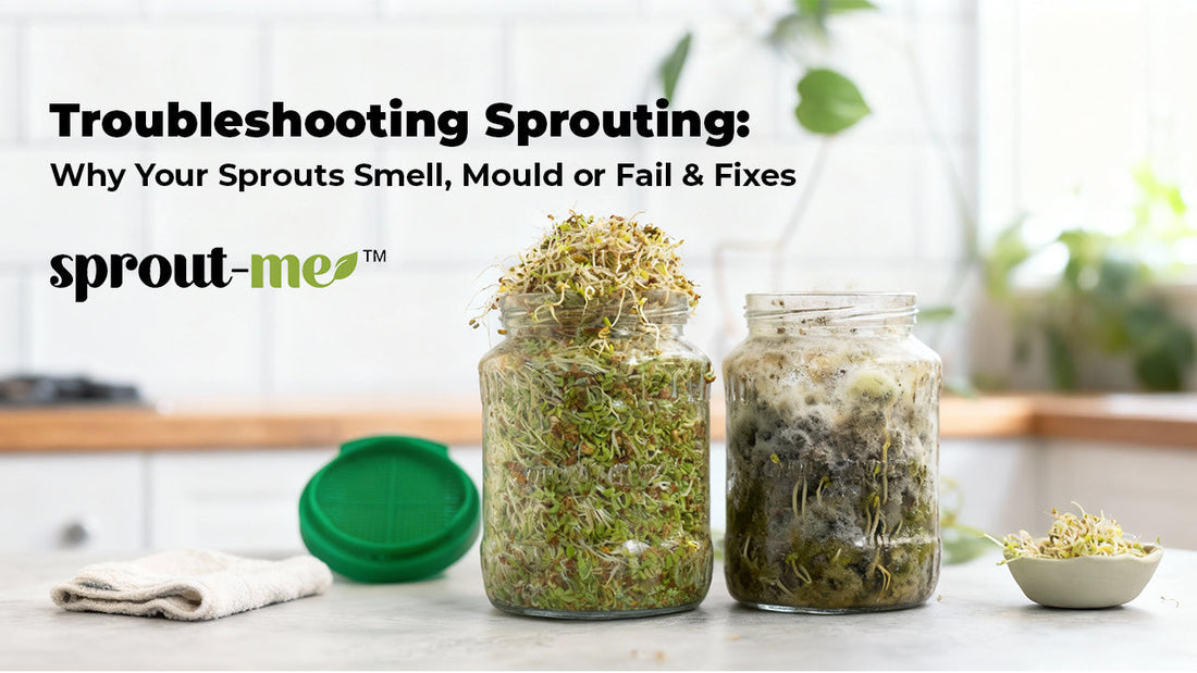 Troubleshooting Sprouting: Why Your Sprouts Smell, Mould or Fail & Fixes