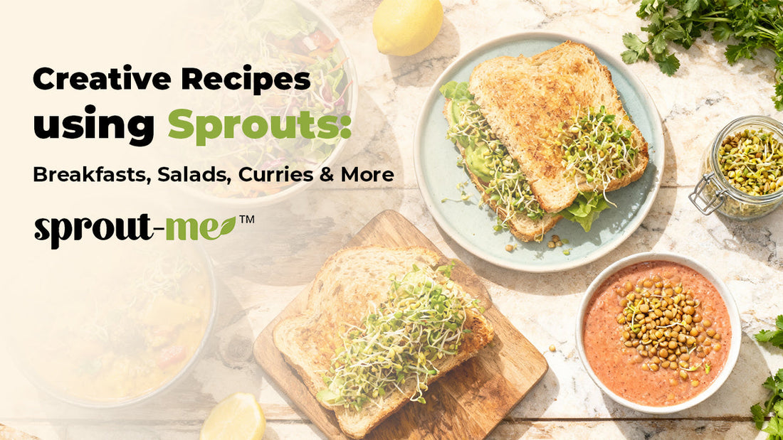 Creative Recipes using Sprouts: Breakfasts, Salads, Curries & More
