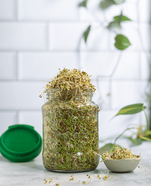 sprout-me™-jar-set-of-2